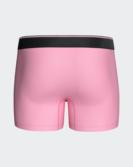 Boxer uni Eden Park