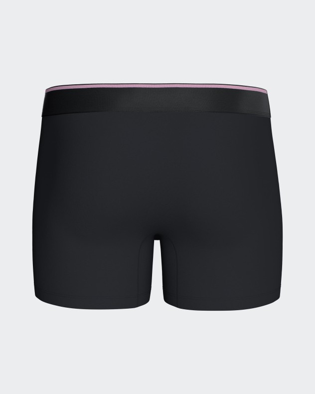 Boxer uni Eden Park