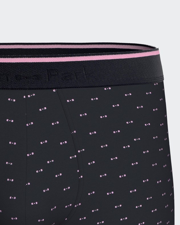 Pack of 2 micromotif boxers Eden Park