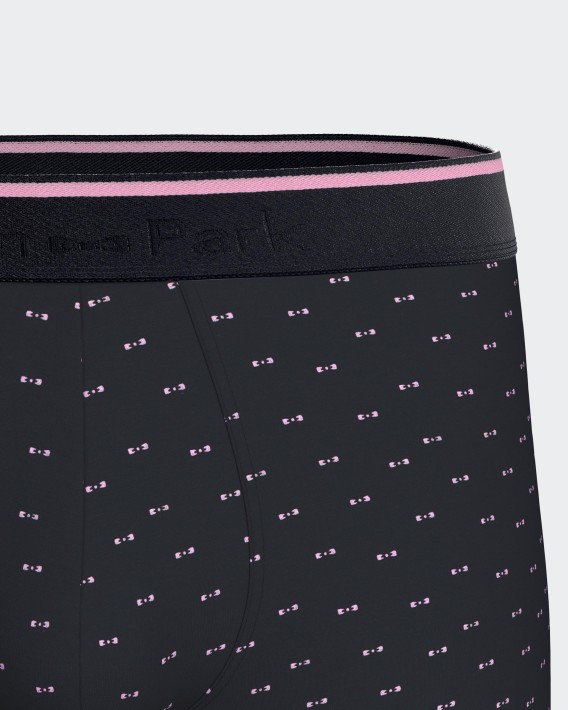 Pack of 2 micromotif boxers Eden Park