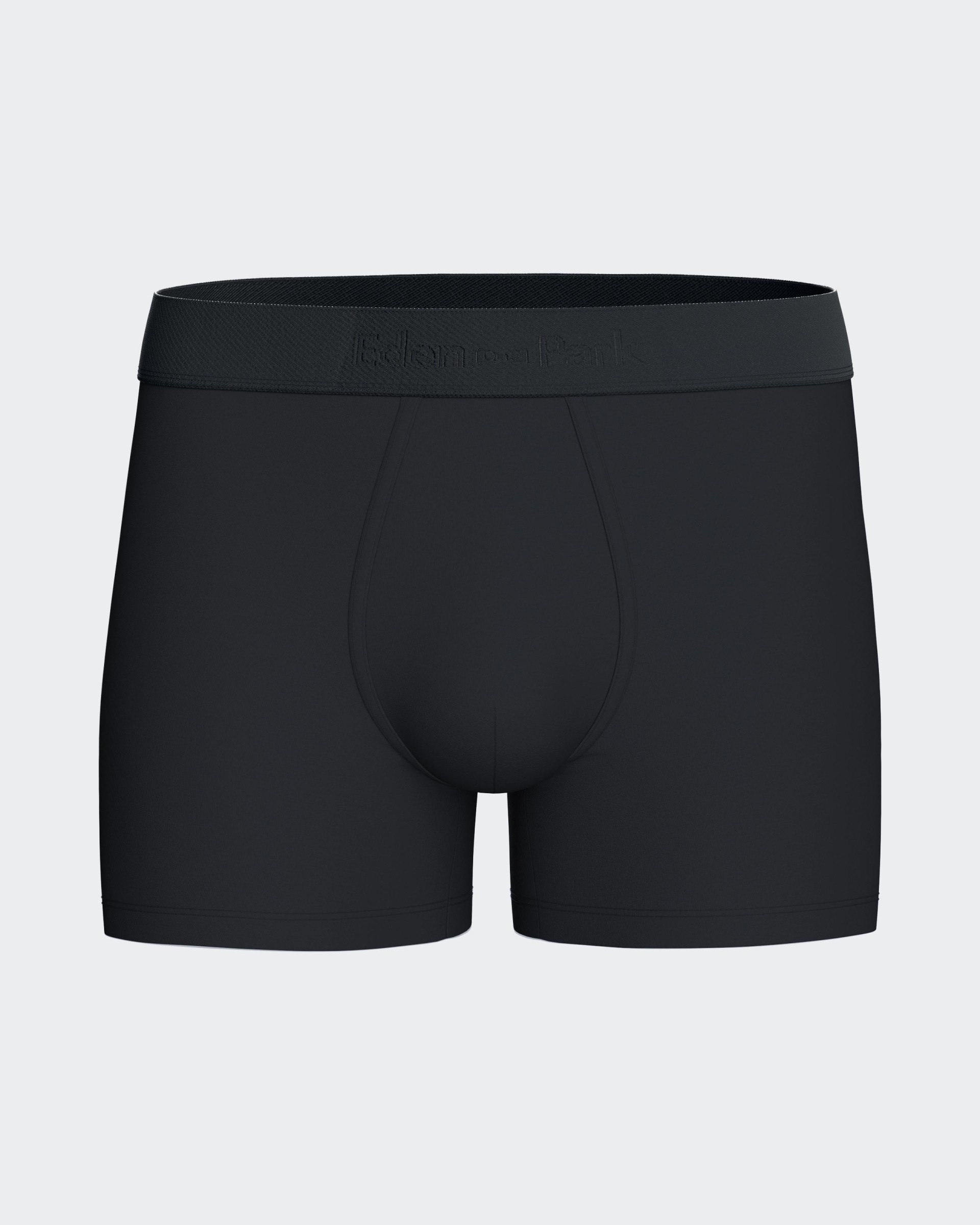 Pack of 2 micromotif boxers Eden Park