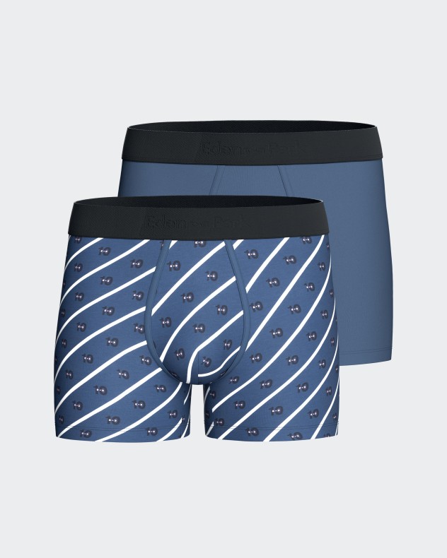 Pack of 2 micromotif boxers Eden Park - Image product
