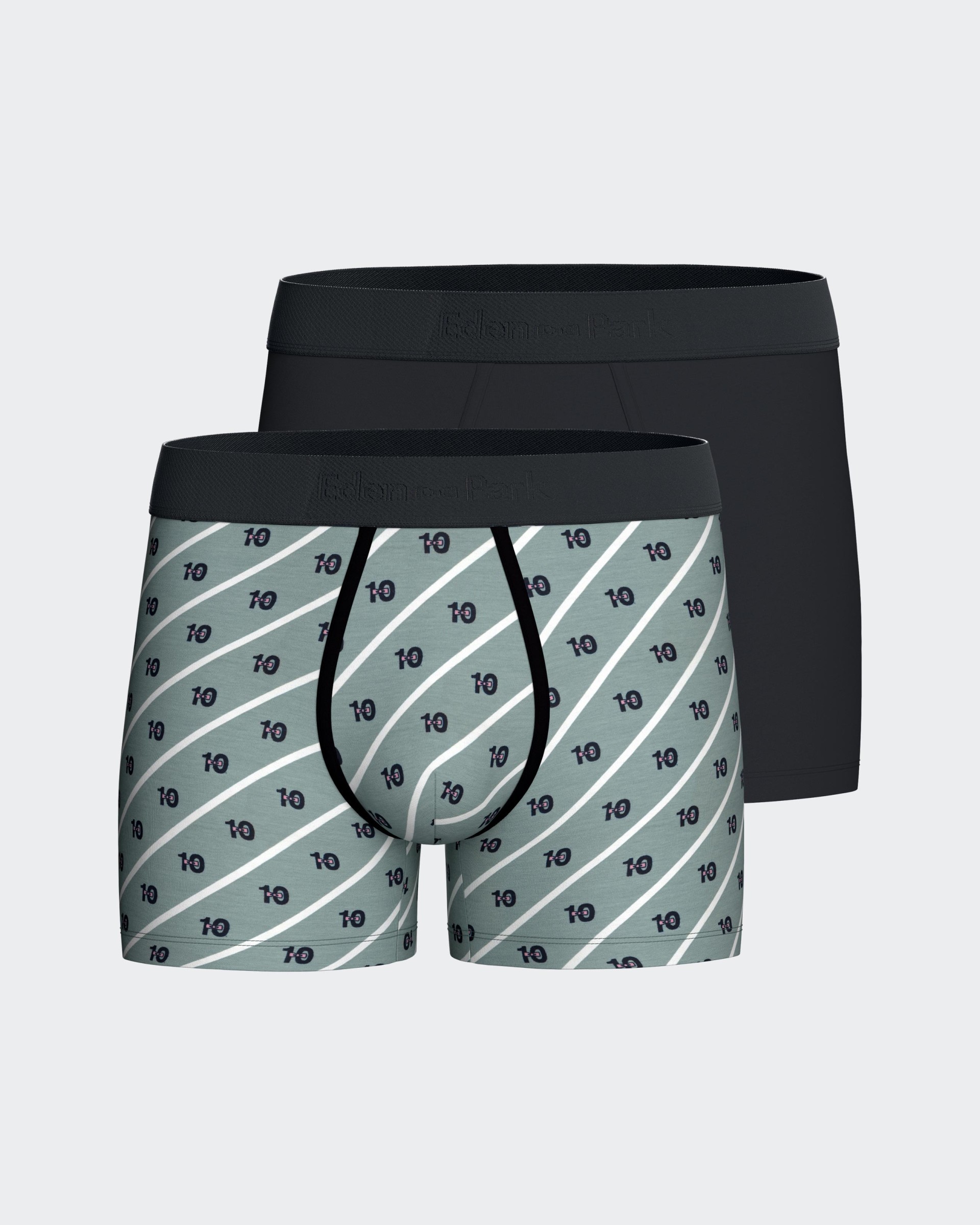 Pack of 2 micromotif boxers Eden Park