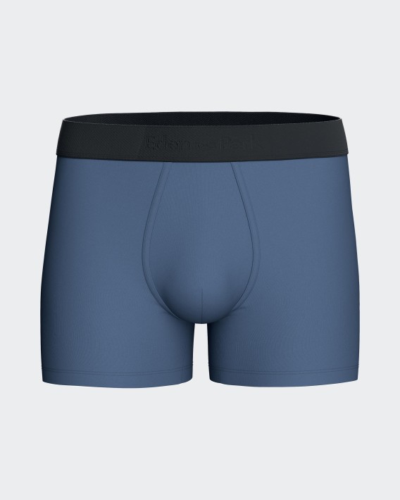 Pack of 2 micromotif boxers Eden Park