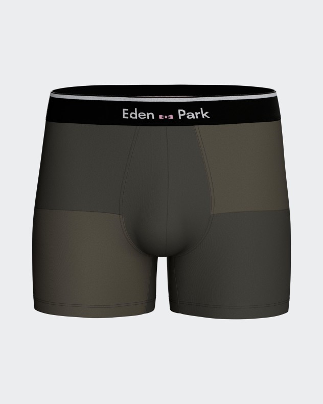 Pack 2 boxers com padrão Eden Park