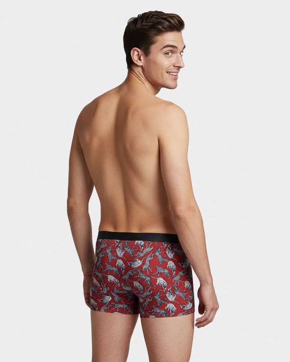 II HM BOXER Medio 0 4 P52 Pack2
